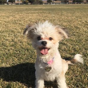 Meet your Posher, Ximena